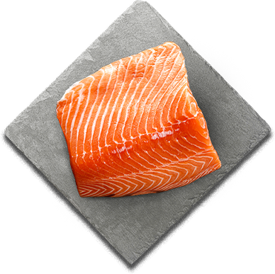 Scottish Salmon