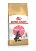 Royal Canin Feline Kitten Maine Coon 36