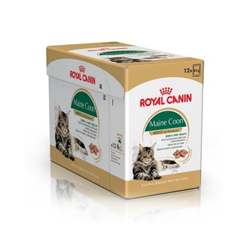 Royal Canin Feline Maine Coon Wet Food Pouches Absolute Pets