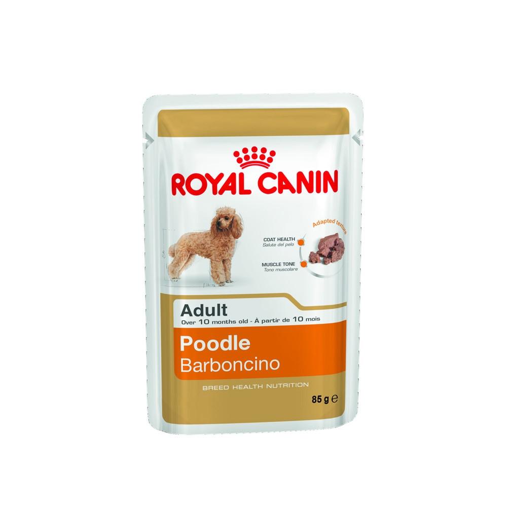 Royal Canin Poodle Adult Wet Food - Pouches