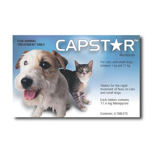 Capstar Dogs and Cats 1-11kg