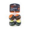 Skipdawg Tennis Ball (4pk)