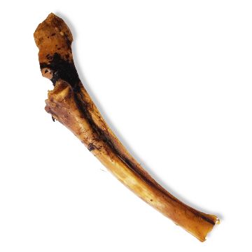 Petwise Venison Bone