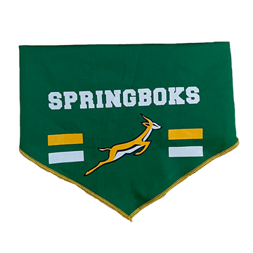 Dog's Life Bandana & Bow-Tie (Springboks) 