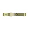 Zee.Dog Collar (Moss)