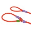 Zee.Dog Slip-N-Lock Leash (Everest) 