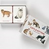 Game Cats & Kittens Memory