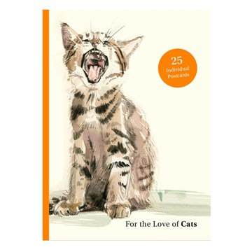 Postcards Cat 25pk 