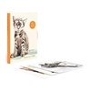 Postcards Cat 25pk 