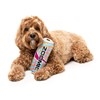 FuzzYard Zoomie Energy Drink