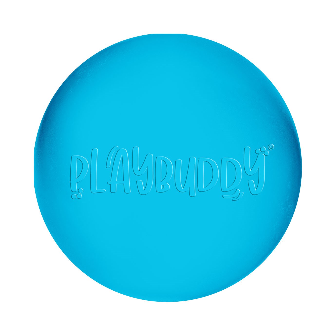 Playbuddy Ball (Blue)