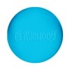 Playbuddy Ball (Blue)