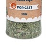 Christmas Catnip