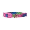 Zee.Dog Collar (Melted)