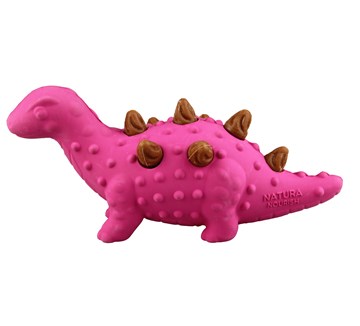 Natura Nourish Dental Treat Stego