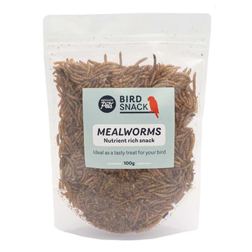 Dried Mealworms