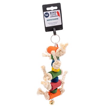 Absolute Pets Bristle Cluster Bird Toy