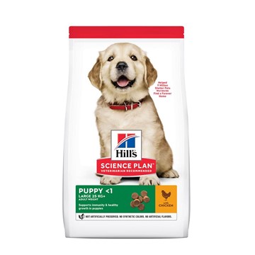 Hills Science Plan Canine Healthy Development Puppy Large Breed