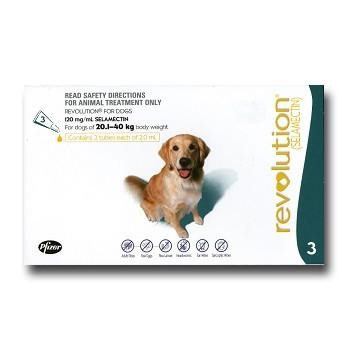 Revolution Dog 20kg -40kg