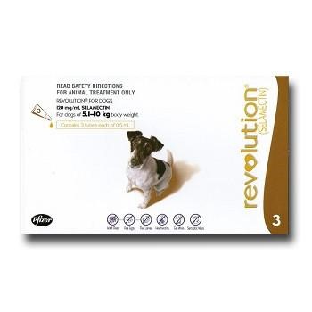 Revolution Dog 5kg -10kg