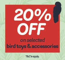 Bird Toys and Accessories Promotion