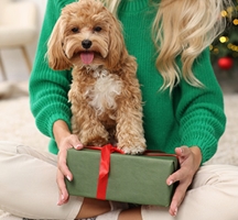 Gifts for Pet Parents