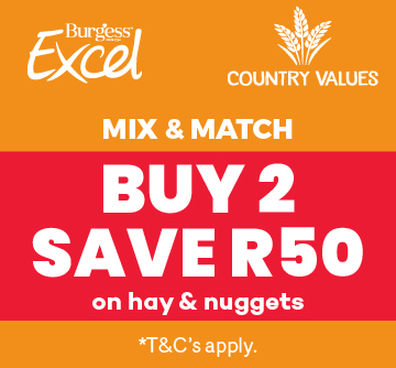 Country Values & Burgess Promotion