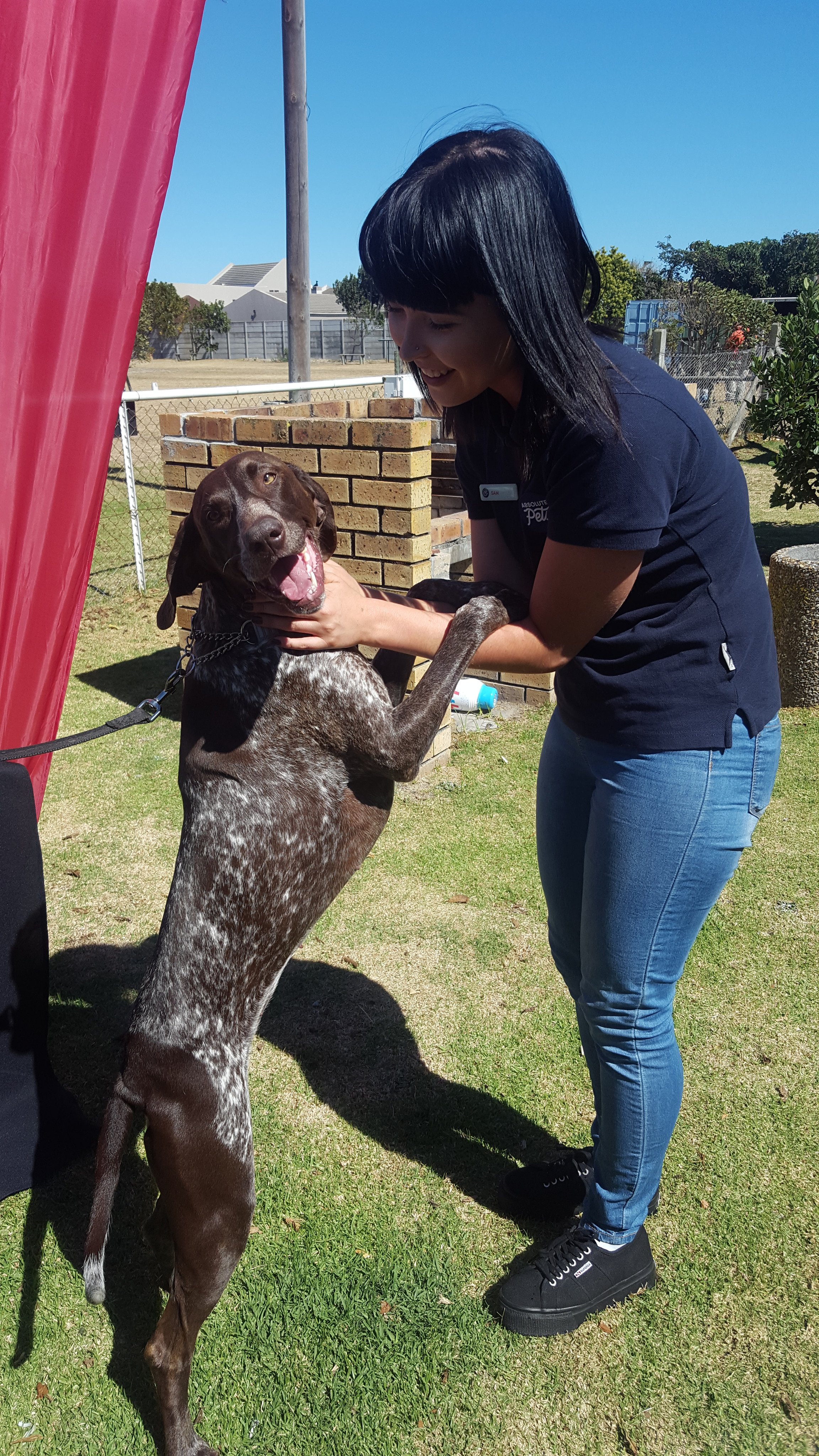Sam from Absolute Pets at Cape Handlers Dog Club